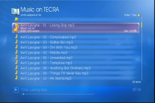 Illustration for article titled Ziova Streaming DVD/DivX Player Gets Firmware Update